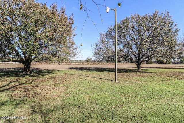 view of yard with a rural view