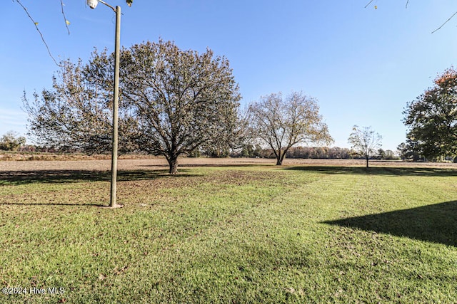 view of yard featuring a rural view