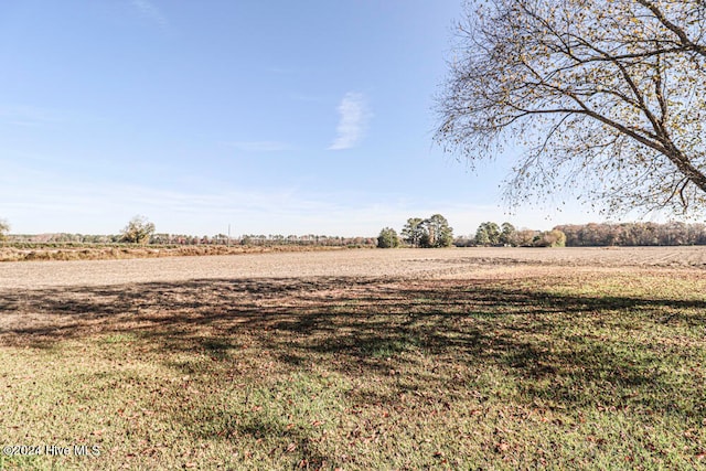 view of yard with a rural view