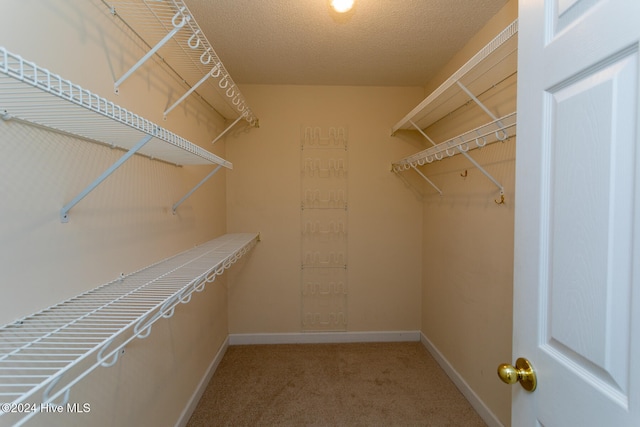 walk in closet with carpet floors