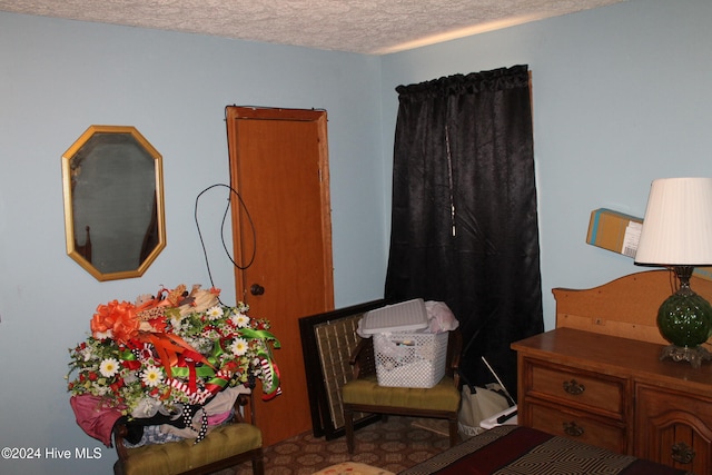 bedroom featuring a textured ceiling