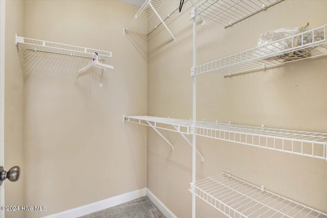 spacious closet featuring carpet floors