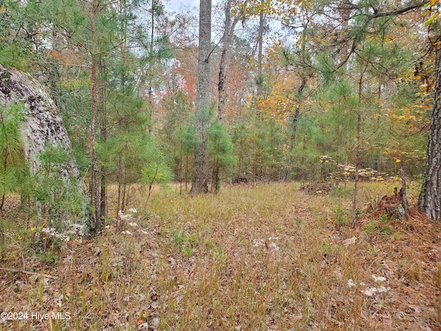 Listing photo 2 for LOT98 Waters Edge Dr, Chocowinity NC 27817