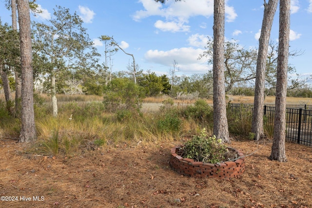 1502 Marsh Pointe, Morehead City, NC 28557 - view of yard