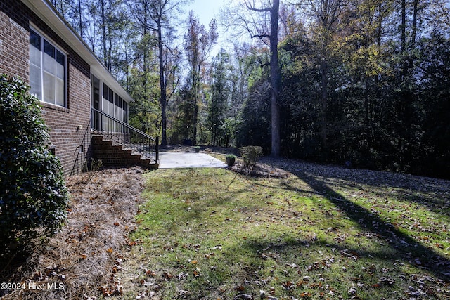 view of yard featuring a patio area