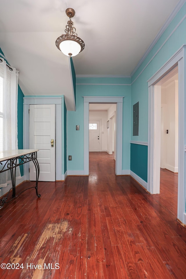 hallway featuring dark hardwood / wood-style floors, crown molding, and electric panel