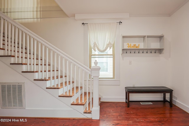 stairs with hardwood / wood-style floors