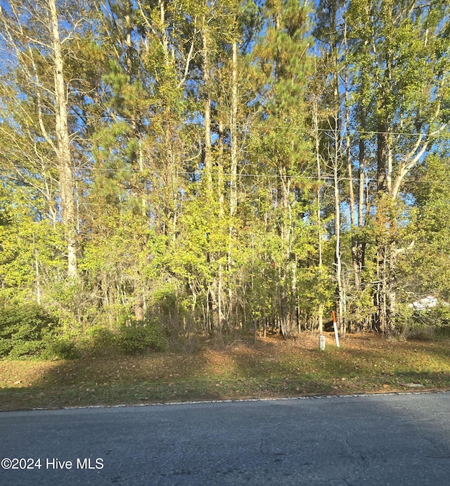 10 Hollis Dr Unit 10, Blounts Creek NC, 27814 land for sale