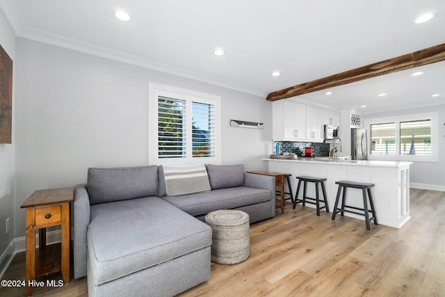 living room featuring a healthy amount of sunlight, light hardwood / wood-style floors, and crown molding