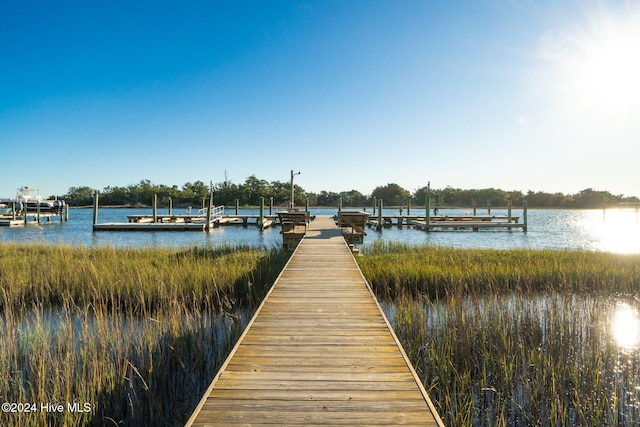 dock area with a water view