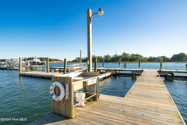 dock area featuring a water view