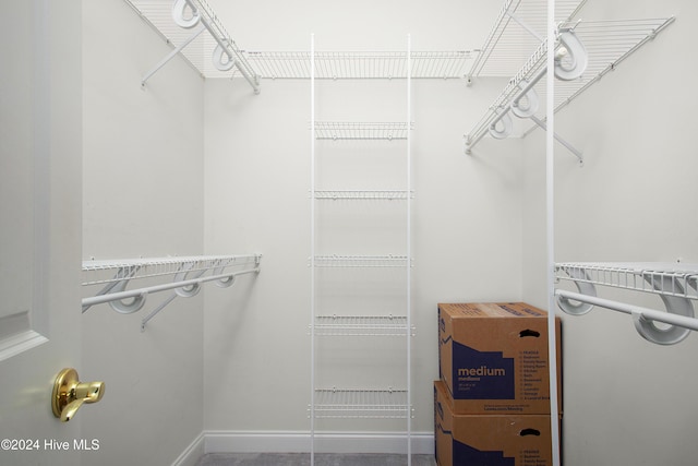 view of spacious closet