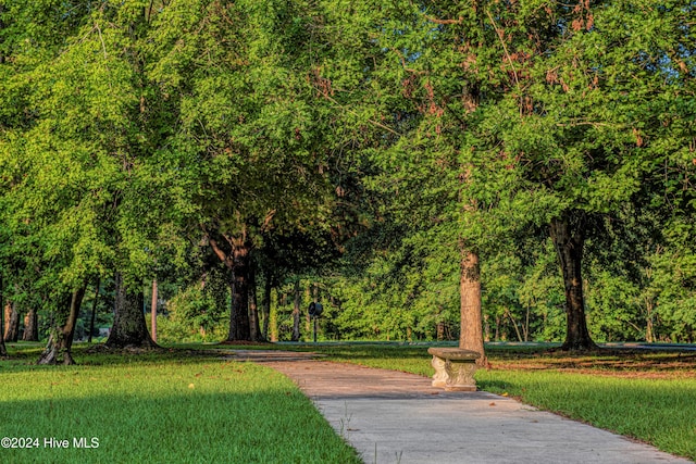 view of home's community with a yard