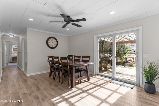 dining area featuring ceiling fan, ornamental molding, and light wood-type flooring