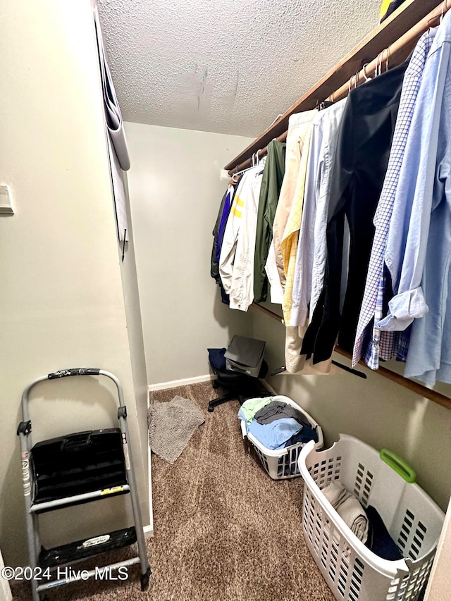 walk in closet with carpet floors