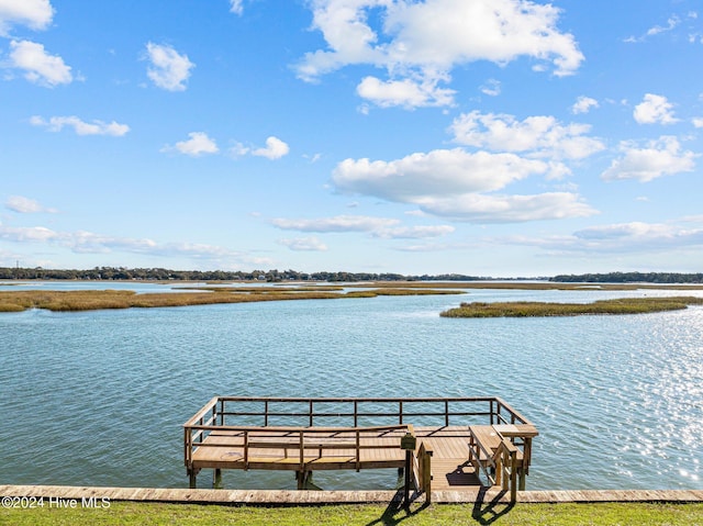 dock area with a water view