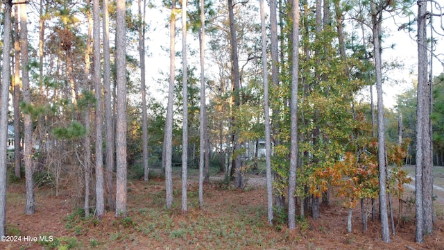 Listing photo 3 for 272 Winding Creek Way Unit 29, Hubert NC 28539