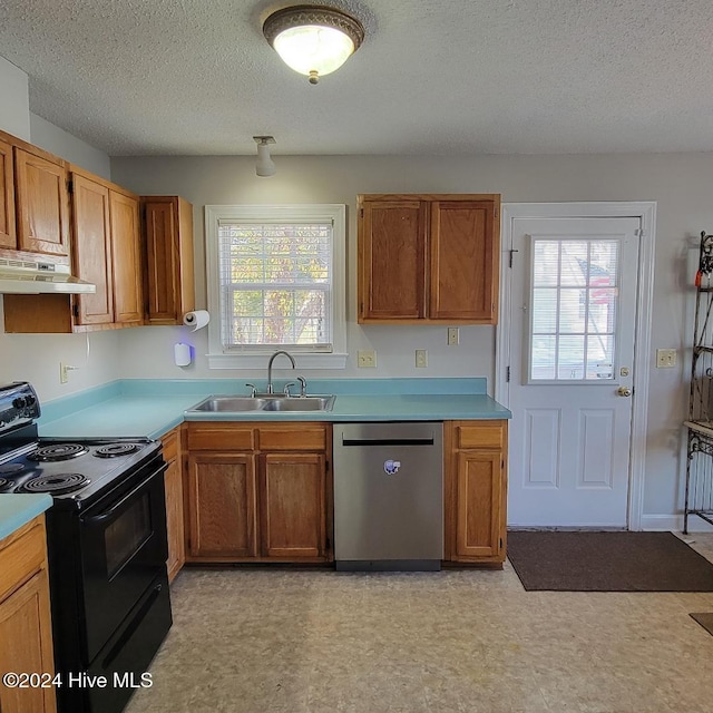 kitchen featuring dishwasher, black / electric stove, a healthy amount of sunlight, and sink