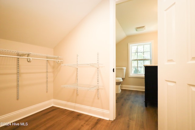 walk in closet featuring dark hardwood / wood-style flooring and vaulted ceiling