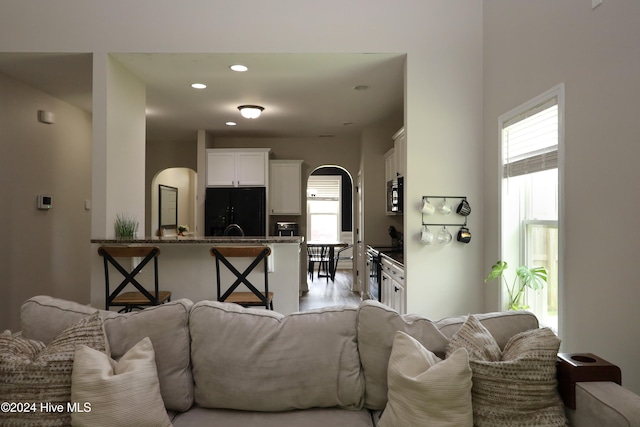 living room with a healthy amount of sunlight and light hardwood / wood-style floors