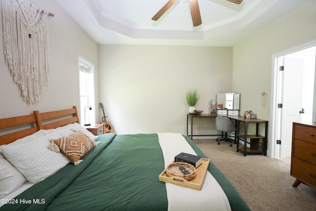 bedroom featuring ceiling fan, a raised ceiling, carpet floors, and crown molding