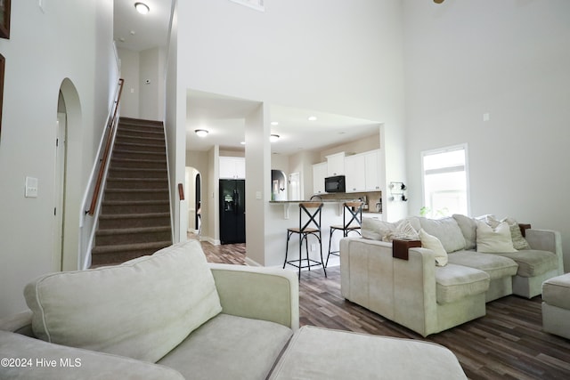 living room with dark hardwood / wood-style flooring and a high ceiling