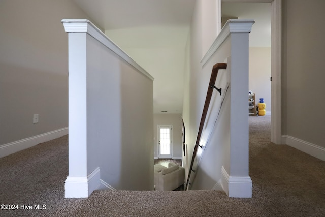 stairway with carpet flooring