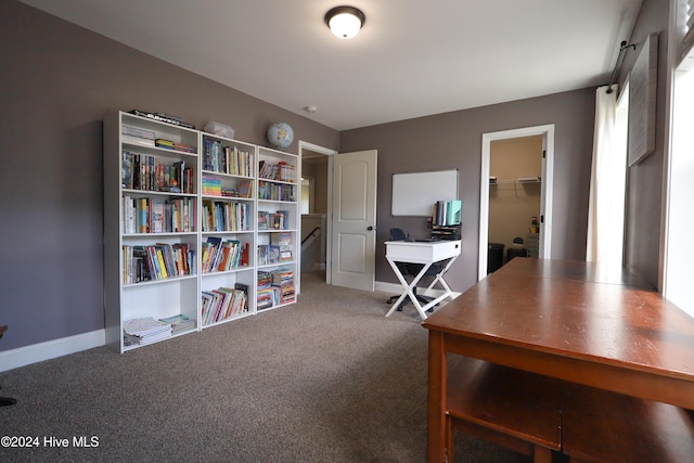 office area featuring carpet