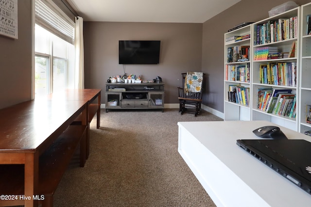 living area with carpet flooring