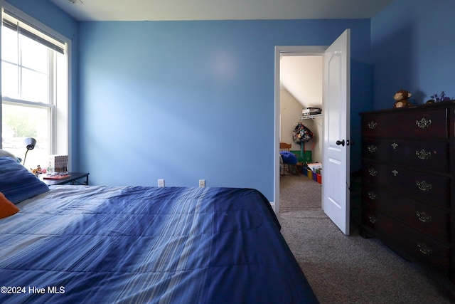 bedroom featuring carpet