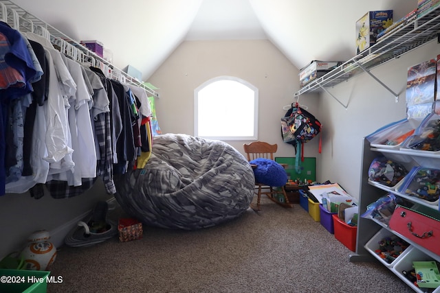 spacious closet with carpet floors and vaulted ceiling