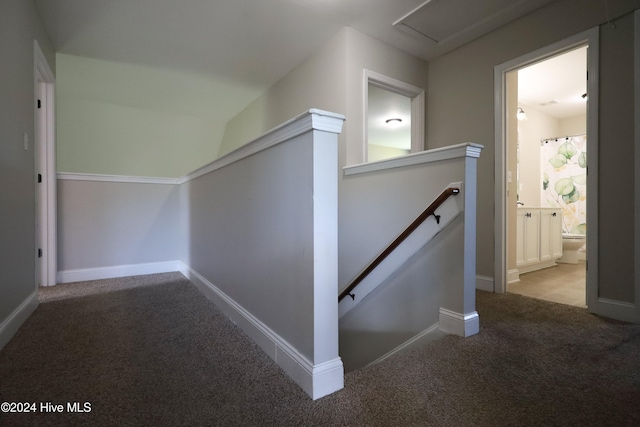 stairway featuring carpet floors