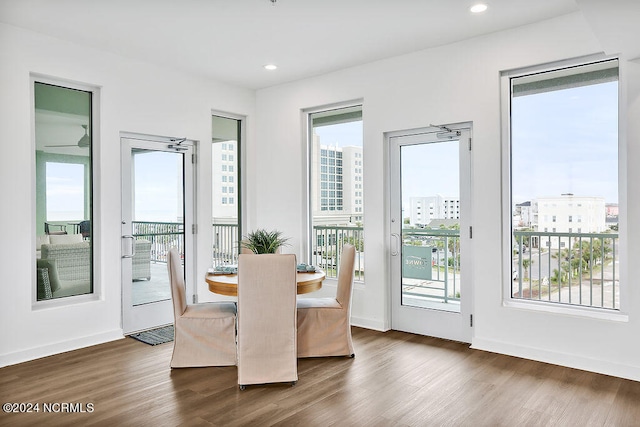 entryway with dark hardwood / wood-style floors