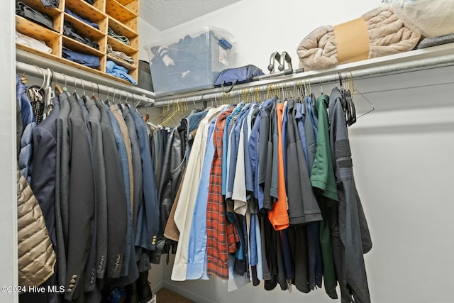 view of walk in closet