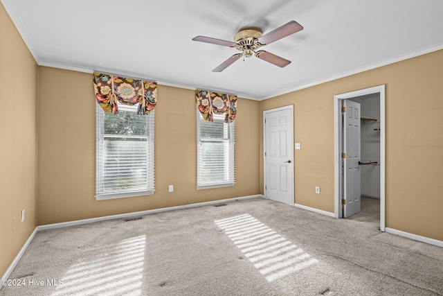 unfurnished bedroom with ceiling fan, light colored carpet, a walk in closet, and crown molding