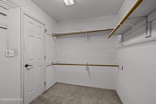 spacious closet with light carpet