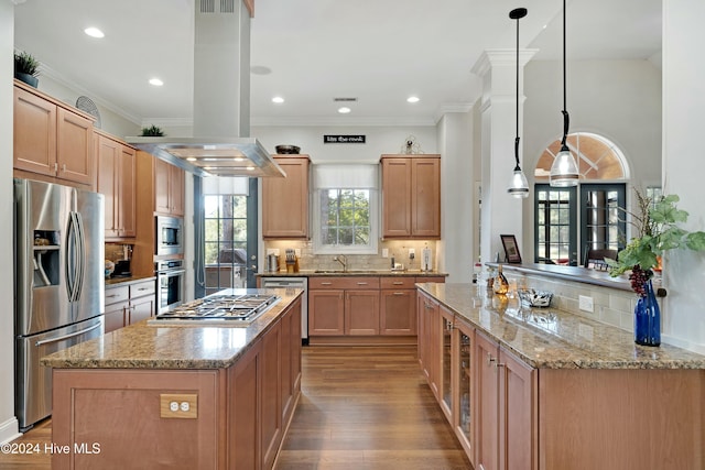 kitchen with island exhaust hood, stainless steel appliances, sink, hardwood / wood-style flooring, and hanging light fixtures