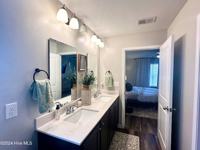 bathroom with hardwood / wood-style flooring and vanity