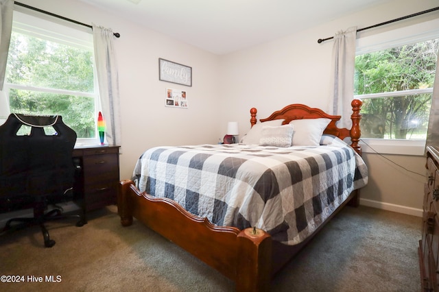 carpeted bedroom featuring multiple windows