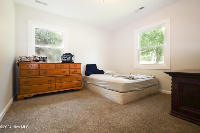 bedroom with carpet