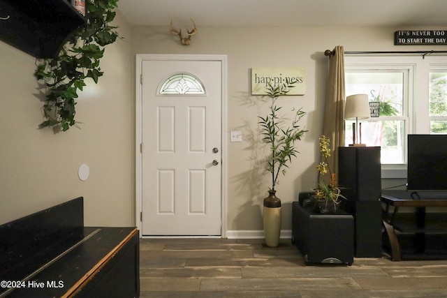 entryway featuring dark hardwood / wood-style flooring