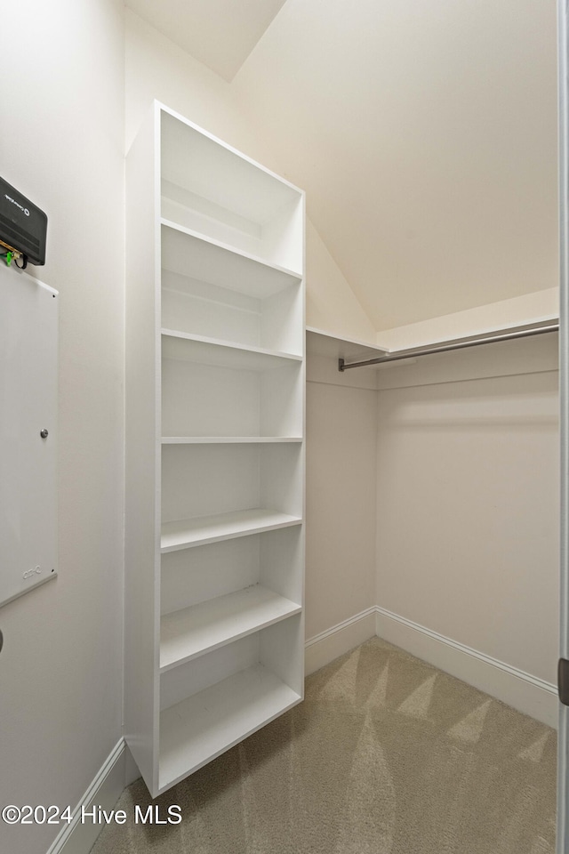 spacious closet with carpet floors