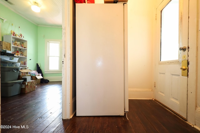 corridor with dark hardwood / wood-style flooring and ornamental molding