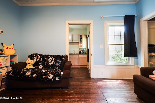 living room featuring dark hardwood / wood-style flooring, ornamental molding, and sink