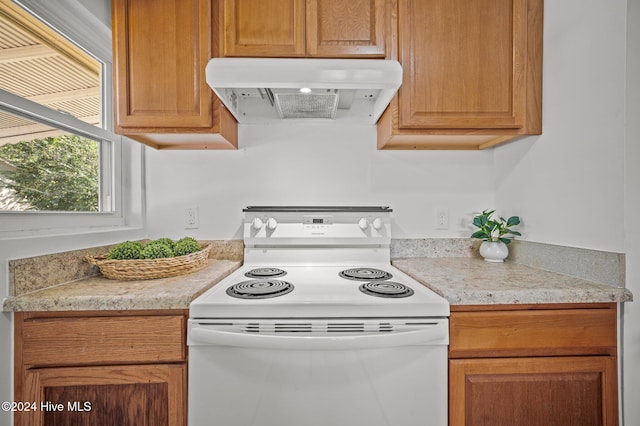 kitchen featuring ventilation hood and electric stove