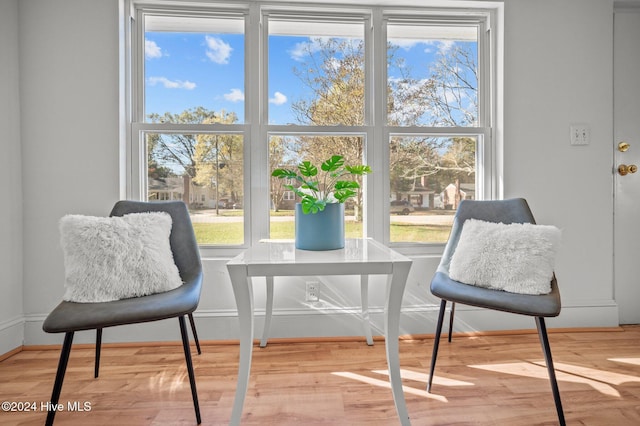 living area with light hardwood / wood-style flooring