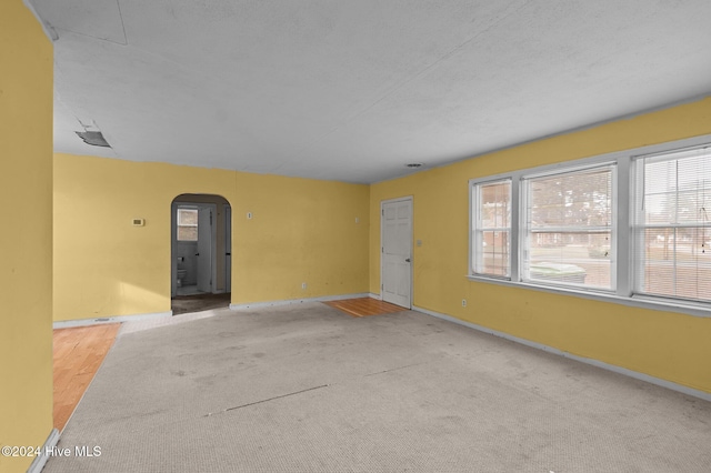 carpeted spare room featuring a textured ceiling and a wealth of natural light