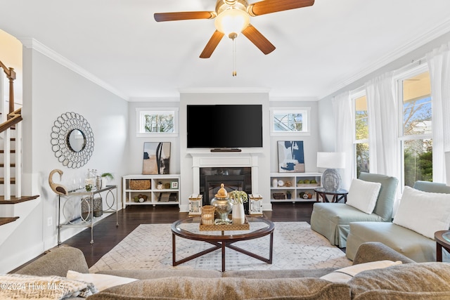 living room with crown molding, a wealth of natural light, dark wood-type flooring, and ceiling fan