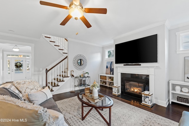 living room with ceiling fan, crown molding, and dark wood-type flooring