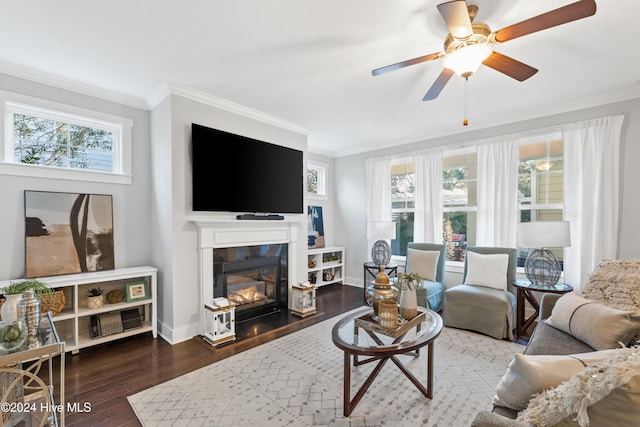 living room featuring a wealth of natural light, dark wood-type flooring, and ornamental molding